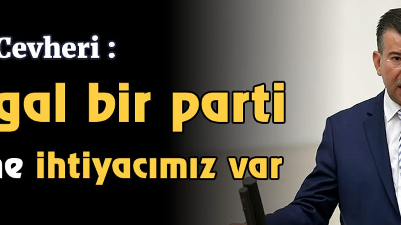 AKP'li vekil Cevheri: HDP legal bir parti desteklerine ihtiyacımız var