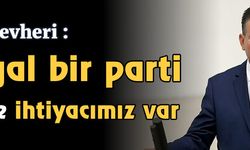AKP'li vekil Cevheri: HDP legal bir parti desteklerine ihtiyacımız var