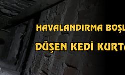 Havalandırma boşluğuna düşen kedi kurtarıldı