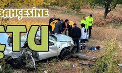 Kontrolden çıkan araç kayısı bahçesine uçtu