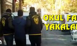 Okul faresi yakalandı