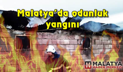 Odunluk yangını ucuz atlatıldı