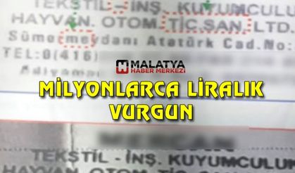 Milyonlarca liralık vurgun yapan çete çökertildi