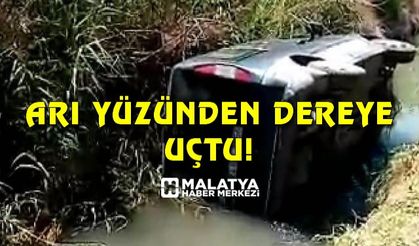 Aracına giren arı yüzünden direksiyon hakimiyetini kaybetti dereye yuvarlandı