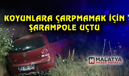 Koyunlara çarpmamak için şarampole uçtu