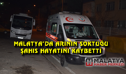 Malatya'da arının soktuğu şahıs hayatını kaybetti