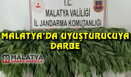 Malatya'da uyuşturucuya darbe