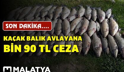 Kaçak balık avlayana bin 90 TL ceza