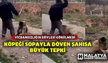 Köpeğini sopayla döven şahıs büyük tepki çekti