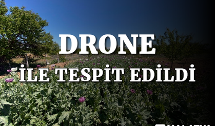 Drone ile tespit edildi, sökülerek imha edildi