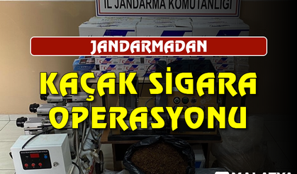 Jandarmadan kaçak sigara operasyonu