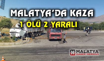 Kayısı yüklü kamyon devrildi: 1 ölü