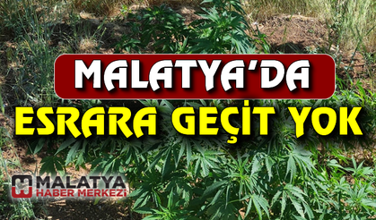 Malatya'da esrar ve kenevir  operasyonu