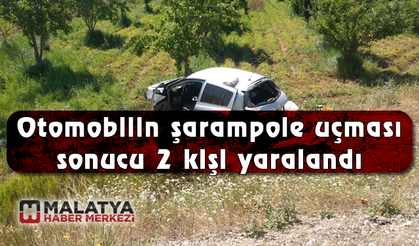 Otomobilin şarampole uçması sonucu 2 kişi yaralandı