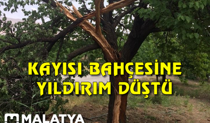 Kayısı bahçesine yıldırım düştü