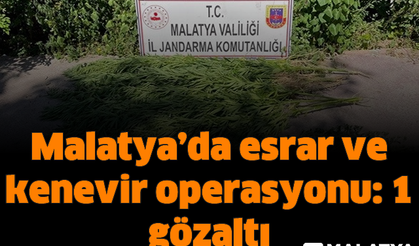 Malatya'da esrar ve kenevir operasyonu: 1 gözaltı