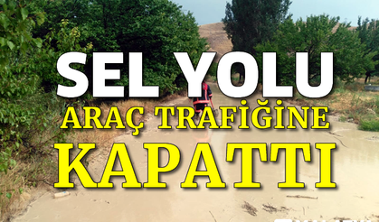 Sel yolu araç trafiğine kapattı