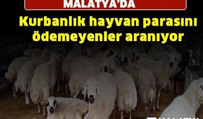 Kurbanlık hayvan parasını ödemeyenler aranıyor