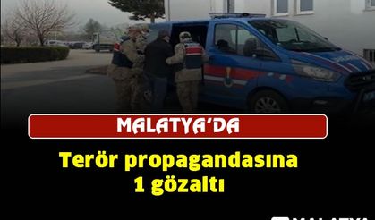 Malatya'da terör propagandasına 1 gözaltı