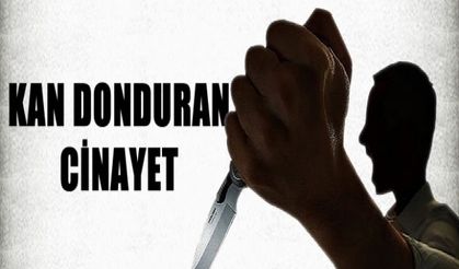 Kan donduran cinayet