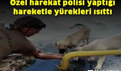 Özel harekat polisi yaptığı hareketle yürekleri ısıttı