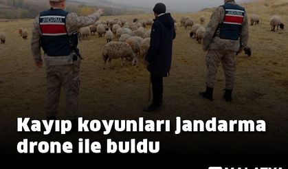 Kayıp koyunları jandarma drone ile buldu