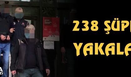 238 şüpheli yakalandı